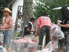 camp24 (704)_samu.gif